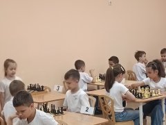 img (6)